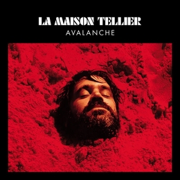 Image du média "AVALANCHE de LA MAISON TELLIER"