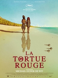 Image du média "LA TORTUE ROUGE de Michael DUDOK DE WIT"