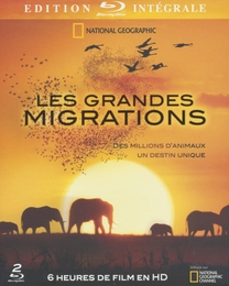 Image du média "LES GRANDES MIGRATIONS - Blu-Ray"