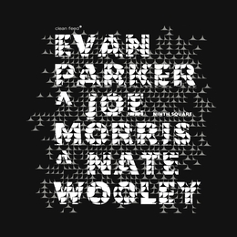 Image du média "NINTH SQUARE de Evan PARKER, JOE MORRIS, NATE WOOLEY"