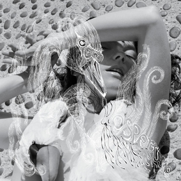 Image du média "VESPERTINE de BJÖRK"