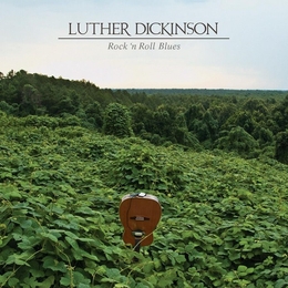 Image du média "ROCK'N ROLL BLUES de Luther DICKINSON"