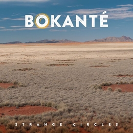 Image du média "STRANGE CIRCLES de BOKANTÉ"