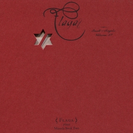 Image du média "FLAGA : BOOK OF ANGELS VOL.27 de John ZORN"