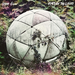 Image du média "EYES ON THE LINES de Steve GUNN"