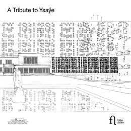 Image du média "A TRIBUTE TO YSAYE de Eugène YSAYE"