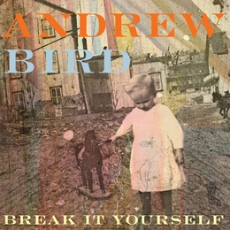 Image du média "BREAK IT YOURSELF de Andrew BIRD"