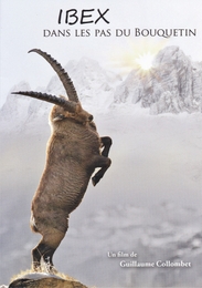 Image du média "IBEX, DANS LES PAS DU BOUQUETIN de Guillaume COLLOMBET"