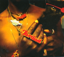 Image du média "THE INEVITABLE RISE AND LIBERATION OF NIGGY TARDUST! de Saul WILLIAMS"