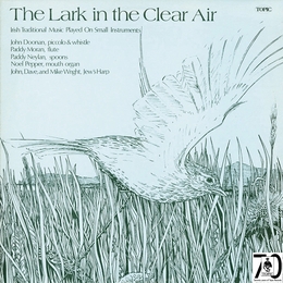 Image du média "LARK IN THE CLEAR AIR / IRISH TRADITIONAL MUSIC PLAYED ON SM"