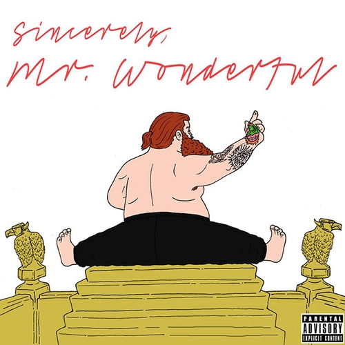 Couverture MR. WONDERFUL de ACTION BRONSON