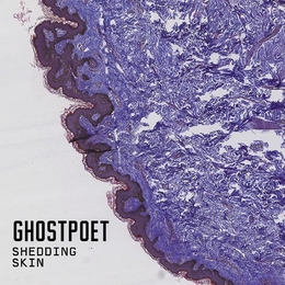 Image du média "SHEDDING SKIN de GHOSTPOET"