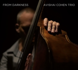 Image du média "FROM DARKNESS de Avishai COHEN TRIO"