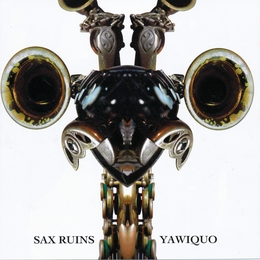 Image du média "YAWIQUO de SAX RUINS"