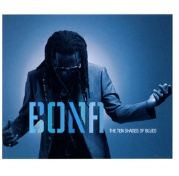 Image du média "THE TEN SHADES OF BLUES de Richard BONA"