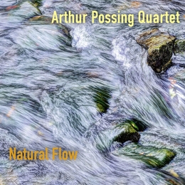 Image du média "NATURAL FLOW de Arthur POSSING QUARTET"