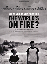 Image du média "WHAT YOU GONNA DO WHEN THE WORLD'S ON FIRE ? de Roberto MINERVINI"