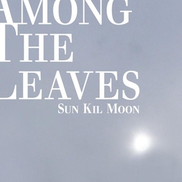 Image du média "AMONG THE LEAVES de SUN KIL MOON"