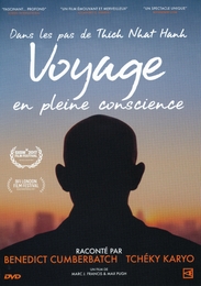 Image du média "VOYAGE EN PLEINE CONSCIENCE de Marc J. FRANCIS"