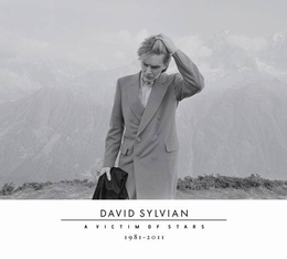 Image du média "A VICTIM OF STARS de David SYLVIAN"