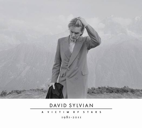 Couverture A VICTIM OF STARS de David SYLVIAN