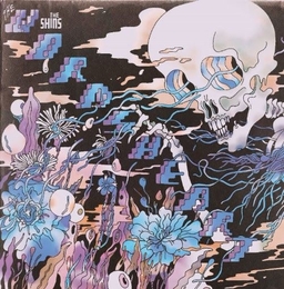 Image du média "THE WORMS HEART de THE SHINS"