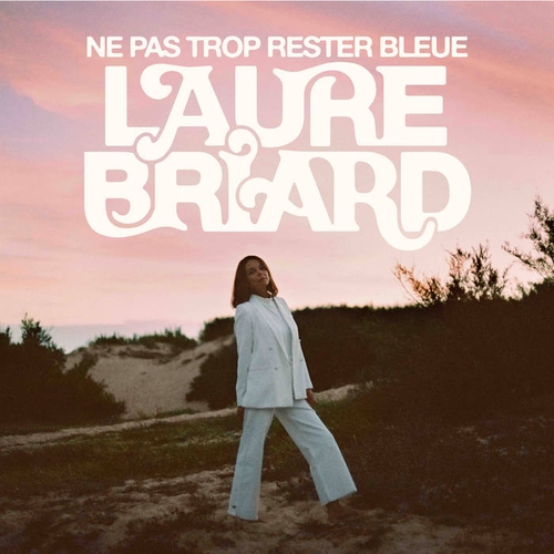 Couverture NE PAS TROP RESTER BLEUE de Laure BRIARD