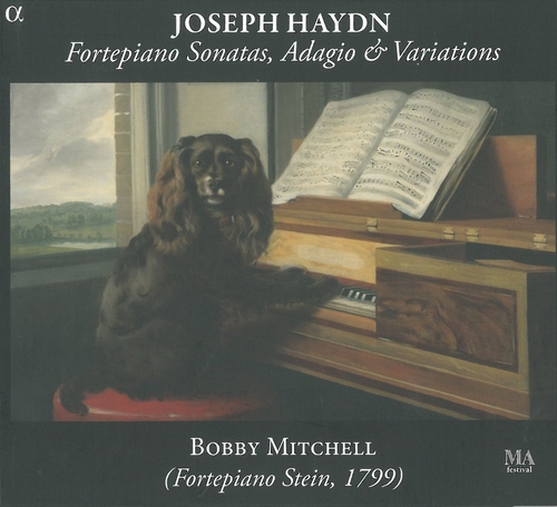 Couverture FORTEPIANO SONATAS, ADAGIO & VARIATIONS de Joseph [Franz] HAYDN