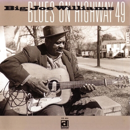 Image du média "BLUES ON HIGHWAY 49 de Big Joe WILLIAMS"