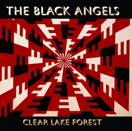 Image du média "CLEAR LAKE FOREST de THE BLACK ANGELS"