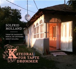 Image du média "KATEDRAL FOR TAPTE DROMMER de Solfrid MOLLAND"