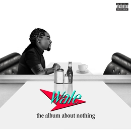 Image du média "THE ALBUM ABOUT NOTHING de WALE"