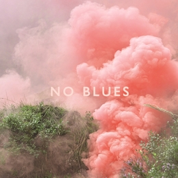 Image du média "NO BLUES de LOS CAMPESINOS!"