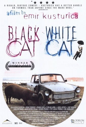 Couverture BLACK CAT WHITE CAT de Emir KUSTURICA