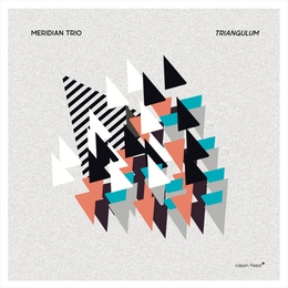 Image du média "TRIANGULUM de MERIDIAN TRIO"