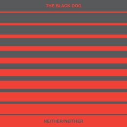 Image du média "NEITHER/NEITHER de THE BLACK DOG"