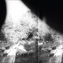 Image du média "ASUNDER, SWEET AND OTHER DISTRESS de GODSPEED YOU! BLACK EMPEROR"