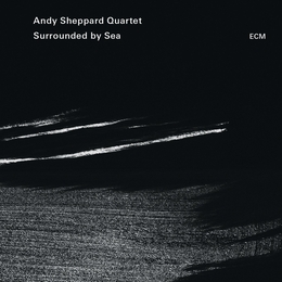 Image du média "SURROUNDED BY SEA de Andy SHEPPARD QUARTET"