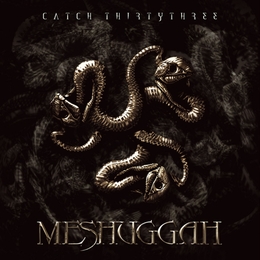 Image du média "CATCH THIRTYTHR33 de MESHUGGAH"