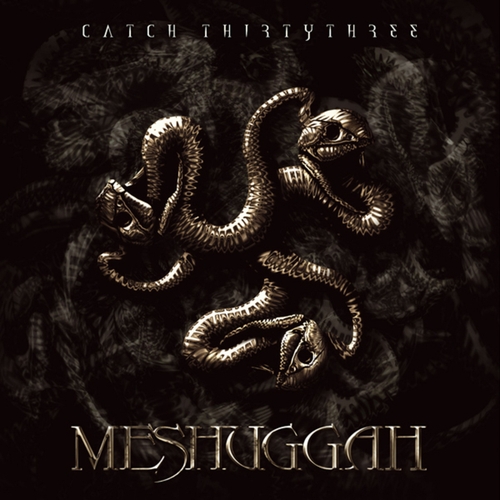 Couverture CATCH THIRTYTHR33 de MESHUGGAH