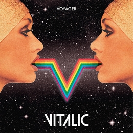 Image du média "VOYAGER de VITALIC"