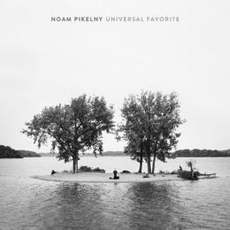 Image du média "UNIVERSAL FAVORITE de Noam PIKELNY"