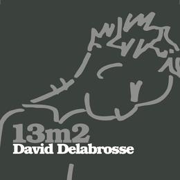 Image du média "13M2 de David DELABROSSE"