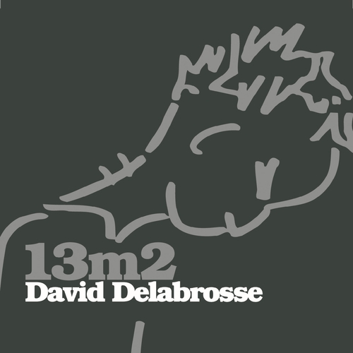 Couverture 13M2 de David DELABROSSE