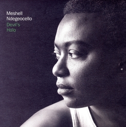 Image du média "DEVIL'S HALO de Meshell NDEGEOCELLO"