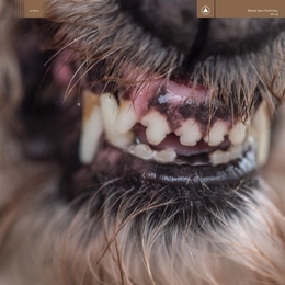 Image du média "WORLD EATER de BLANCK MASS"