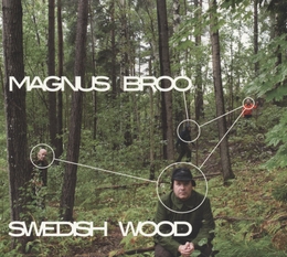 Image du média "SWEDISH WOOD de Magnus BROO"