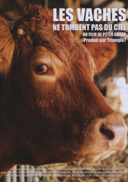 Image du média "LES VACHES NE TOMBENT PAS DU CIEL ! de Peter ANGER"