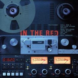 Image du média "IN THE RED de DSP"