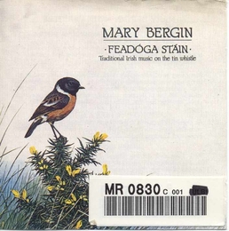 Image du média "FEADOGA STAIN / TRADITIONAL IRISH MUSIC ON THE TIN WHISTLE de Mary BERGIN"